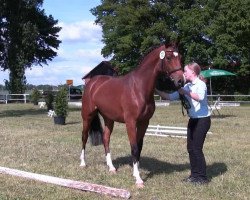 dressage horse Santana (Westphalian, 2010, from Sunday)