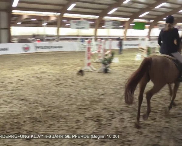 Reitturnier Barlo-Bocholt 2020