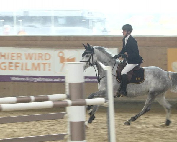 Reitturnier Gut Winkelacker/Obb. 2020