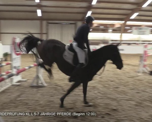 Reitturnier Barlo-Bocholt 2020