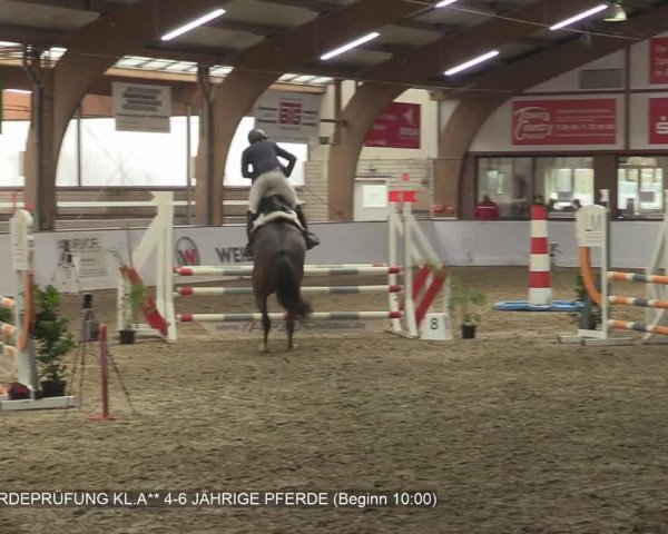 Reitturnier Barlo-Bocholt 2020