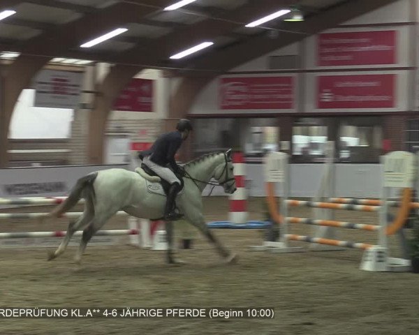 Reitturnier Barlo-Bocholt 2020