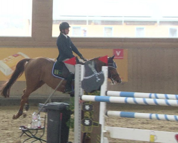 Reitturnier Gut Winkelacker/Obb. 2020