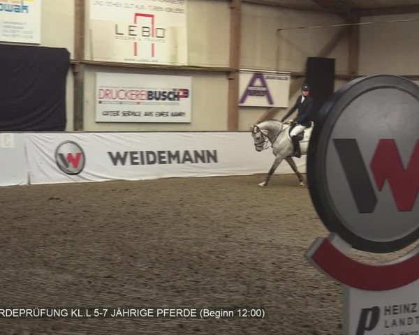 Reitturnier Barlo-Bocholt 2020