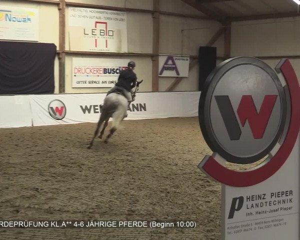 Reitturnier Barlo-Bocholt 2020