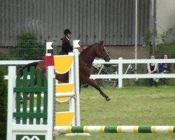 jumper Lifesaver (Oldenburg, 2001, from Lifestyle)