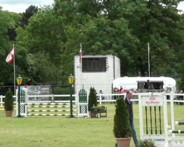 jumper Mätresse (German Riding Pony, 2004, from Magic)