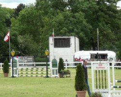 jumper Mätresse (German Riding Pony, 2004, from Magic)