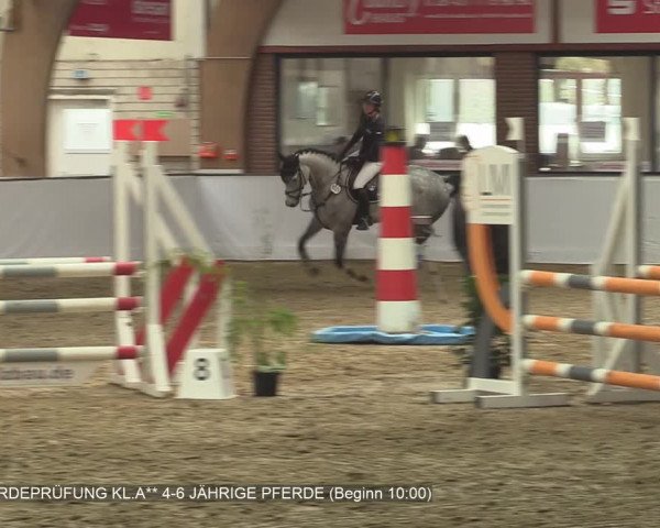 Reitturnier Barlo-Bocholt 2020