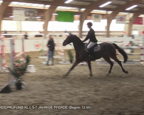 Reitturnier Barlo-Bocholt 2020