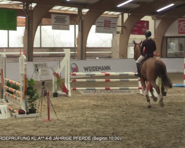 Reitturnier Barlo-Bocholt 2020