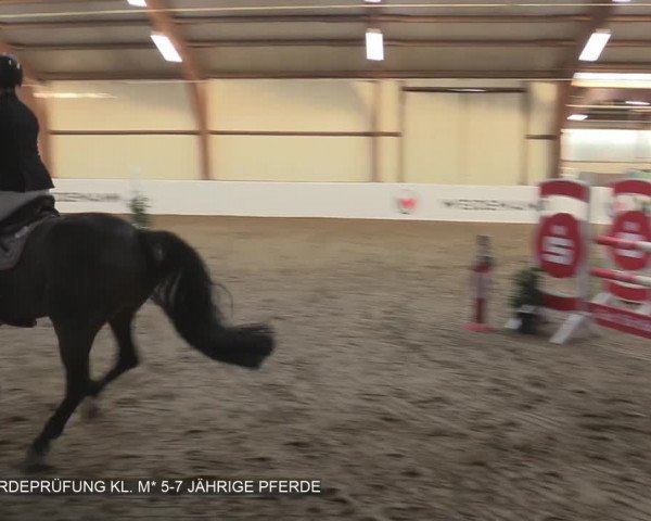 Reitturnier Barlo-Bocholt 2020