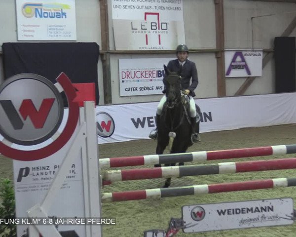 Reitturnier Barlo-Bocholt 2020