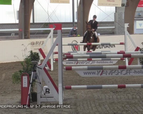 Reitturnier Barlo-Bocholt 2020