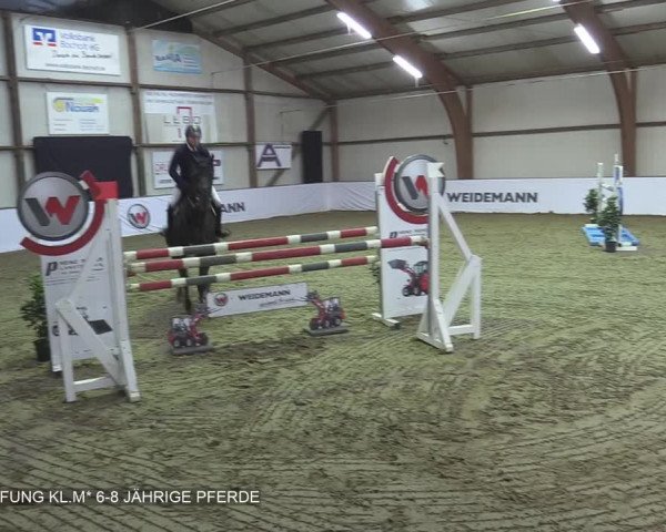 Reitturnier Barlo-Bocholt 2020