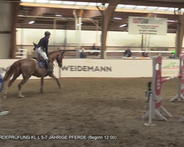Reitturnier Barlo-Bocholt 2020