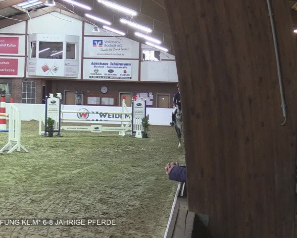 Reitturnier Barlo-Bocholt 2020