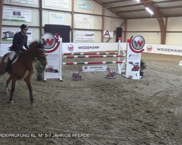Reitturnier Barlo-Bocholt 2020