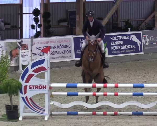 Reitturnier Negernbötel 2020, 3. Nordic Jumping event 2020/2021