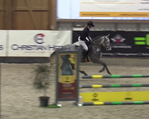 Reitturnier Negernbötel 2020, 3. Nordic Jumping event 2020/2021