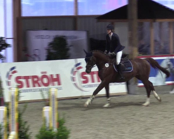 Reitturnier Negernbötel 2020, 3. Nordic Jumping event 2020/2021