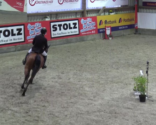 Reitturnier Negernbötel 2020, 3. Nordic Jumping event 2020/2021