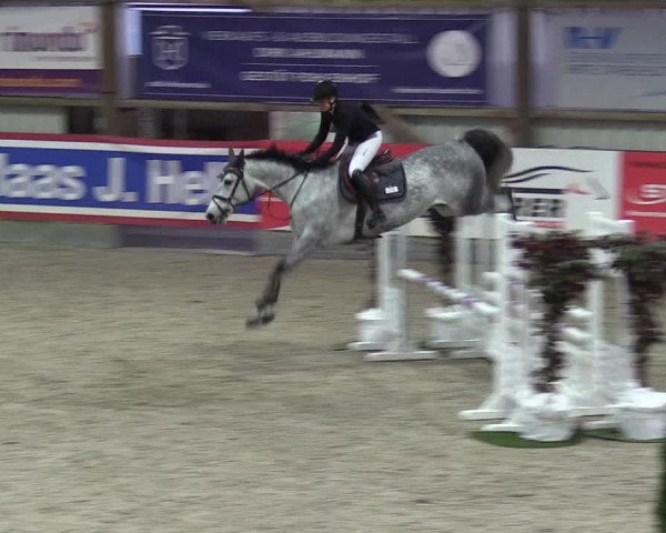 Reitturnier Negernbötel 2020, 3. Nordic Jumping event 2020/2021
