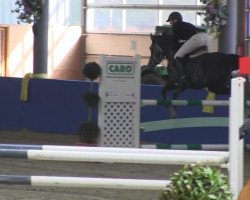 jumper Keramique B (Dutch Pony, 2008, from Kierow van Klaverborch)