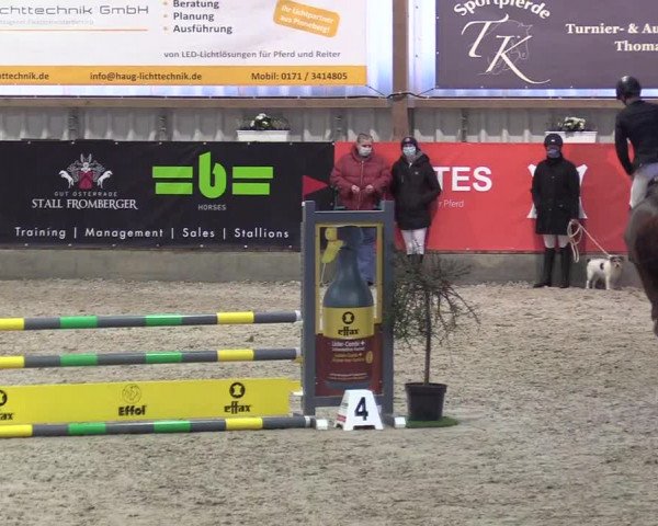 Reitturnier Negernbötel 2020, 3. Nordic Jumping event 2020/2021