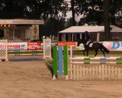 jumper Catwalk 24 (Holsteiner, 2008, from Cormint)