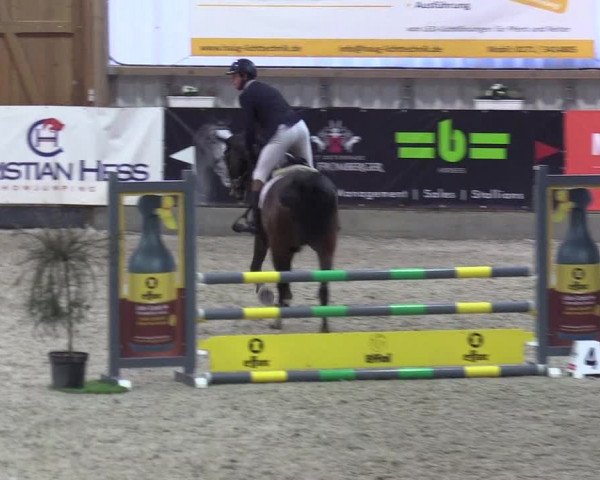 Reitturnier Negernbötel 2020, 3. Nordic Jumping event 2020/2021