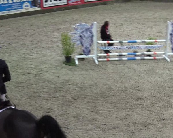 Reitturnier Negernbötel 2020, 3. Nordic Jumping event 2020/2021