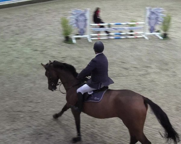 Reitturnier Negernbötel 2020, 3. Nordic Jumping event 2020/2021