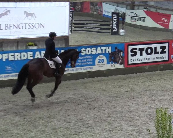 Reitturnier Negernbötel 2020, 3. Nordic Jumping event 2020/2021
