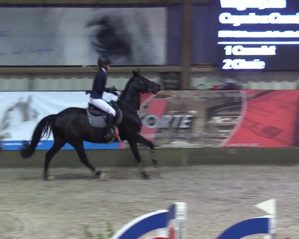 Reitturnier Negernbötel 2020, 3. Nordic Jumping event 2020/2021