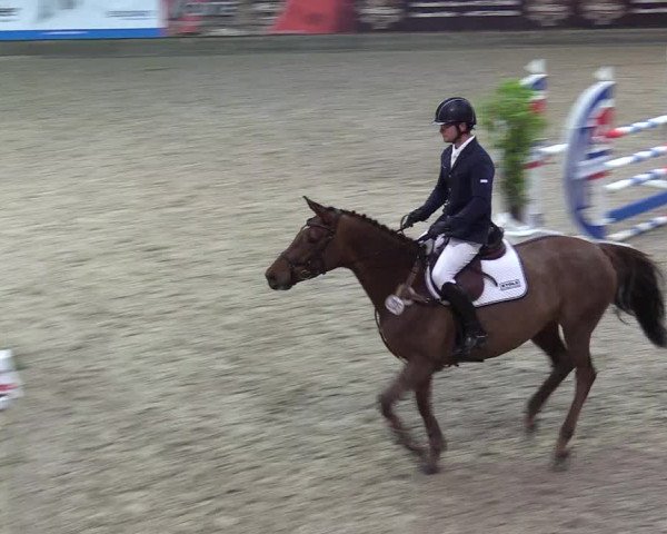Reitturnier Negernbötel 2020, 3. Nordic Jumping event 2020/2021