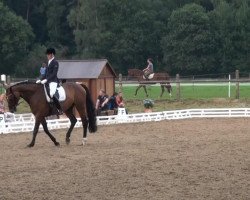 dressage horse Sweet Lemon E (Hanoverian, 2007, from Samarant)