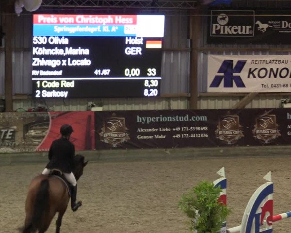 Reitturnier Negernbötel 2020, 3. Nordic Jumping event 2020/2021