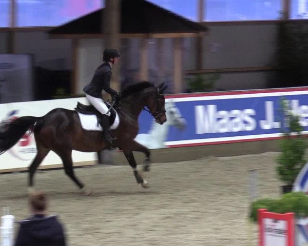 Reitturnier Negernbötel 2020, 3. Nordic Jumping event 2020/2021