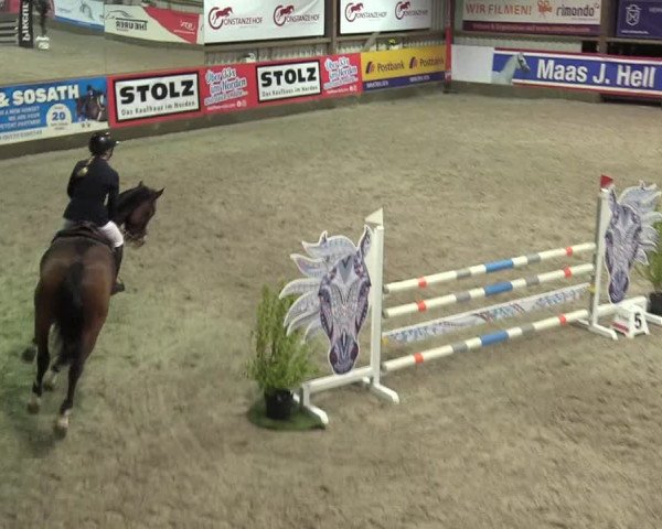 Reitturnier Negernbötel 2020, 3. Nordic Jumping event 2020/2021