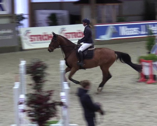 Reitturnier Negernbötel 2020, 3. Nordic Jumping event 2020/2021