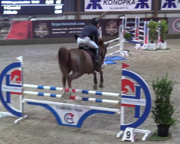 Reitturnier Negernbötel 2020, 3. Nordic Jumping event 2020/2021
