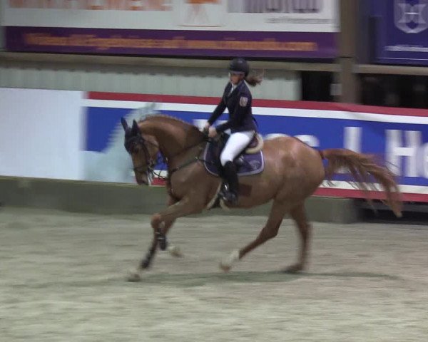 Reitturnier Negernbötel 2020, 3. Nordic Jumping event 2020/2021