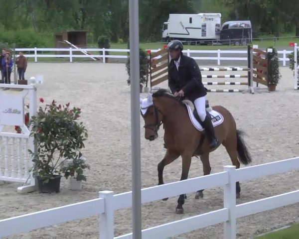 jumper La Fleur de Coco (Holsteiner, 2008, from Consens)