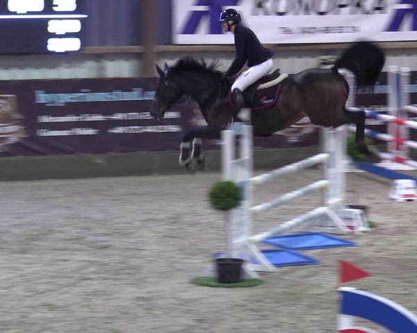 Reitturnier Negernbötel 2020, 3. Nordic Jumping event 2020/2021