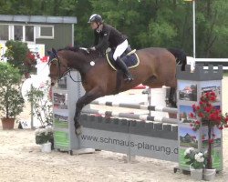jumper Lucille 78 (Hanoverian, 2007, from Lucky Point)