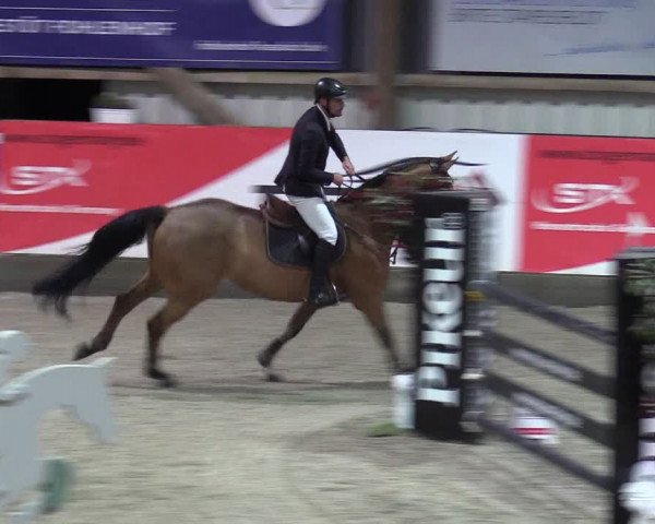 Reitturnier Negernbötel 2020, 3. Nordic Jumping event 2020/2021