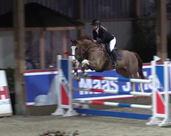 Reitturnier Negernbötel 2020, 3. Nordic Jumping event 2020/2021