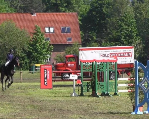 jumper Carlettino (Westphalian, 2007, from Clay)