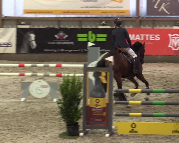 Reitturnier Negernbötel 2020, 3. Nordic Jumping event 2020/2021